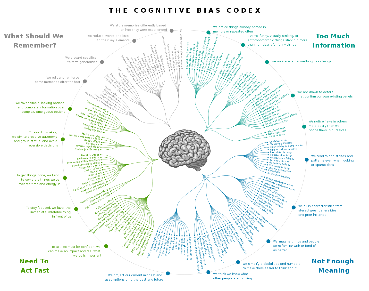 Wikimedia Cognitive Bias